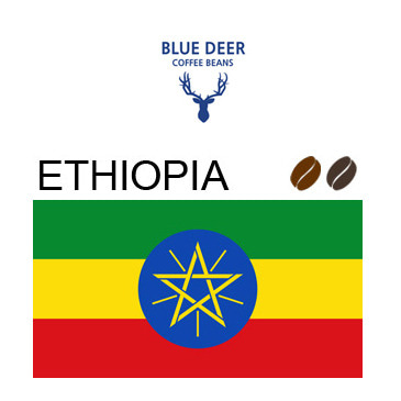 [원두 블루디어]에디오피아 예가체프 1kg