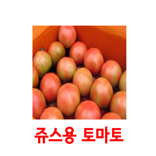 [생과일] 토마토 5kg 약25개